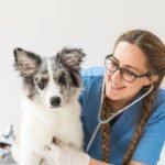 Dra. Simone Alegrette